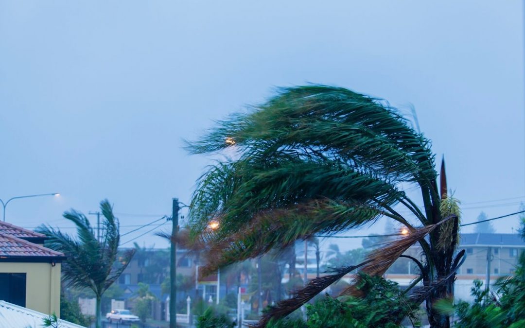 protect your home from wind damage
